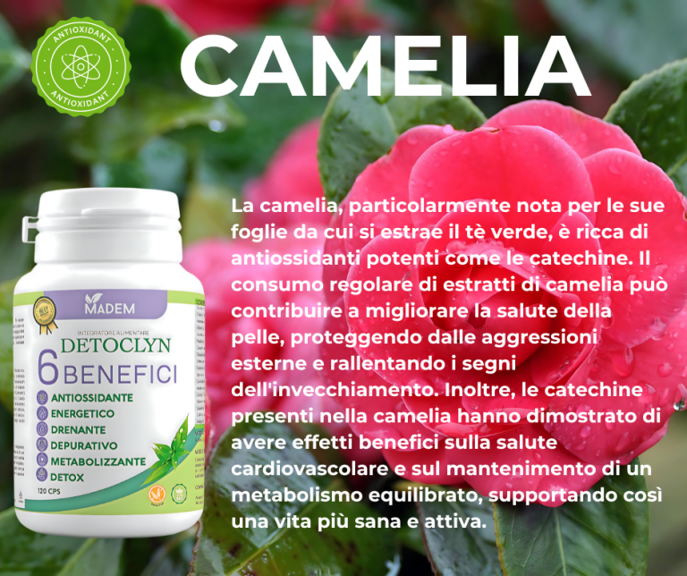 Copia di CAMELIA.png facebook