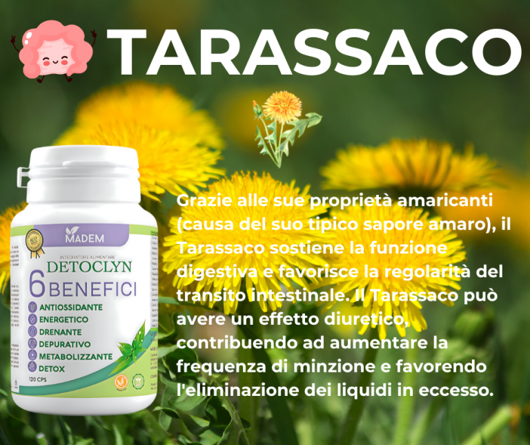 Copia di TARASSACO.png facebook