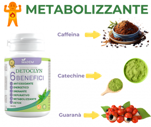 METABOLIZZANTE.png facebook