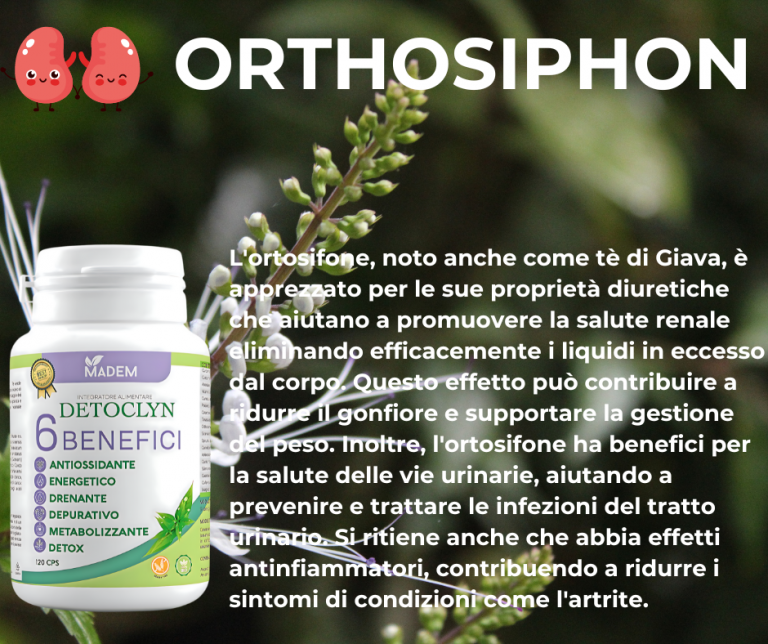 ORTHOSIPHON.png Facebook